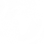 logo3 logo3